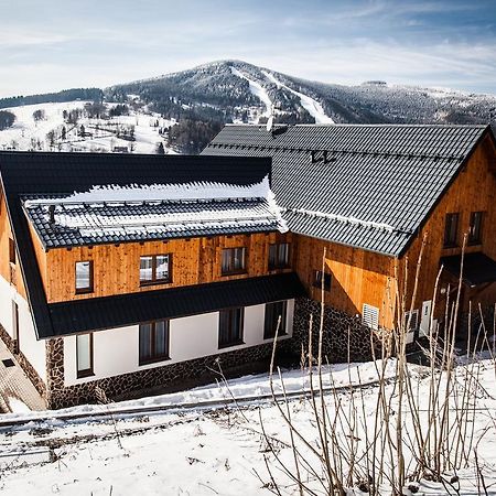 Penzion Kozel - Herlikovice Krkonose Врхлаби Экстерьер фото